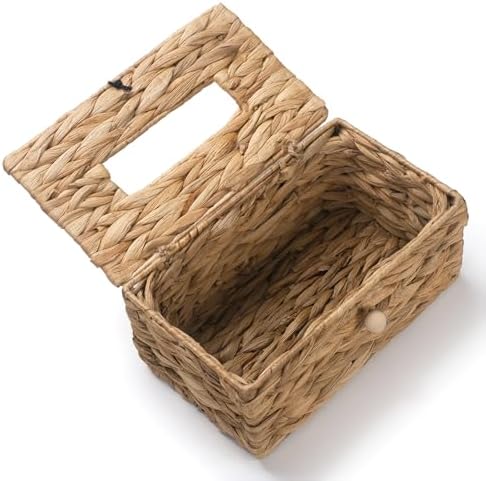 Boho Decorative Woven Facial Tissue Holder