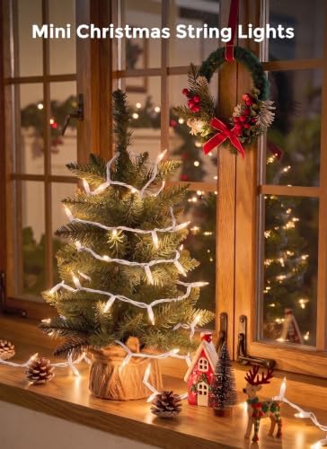 Minetom Warm White Christmas String Lights 100 Count 20 Feet, White Wire