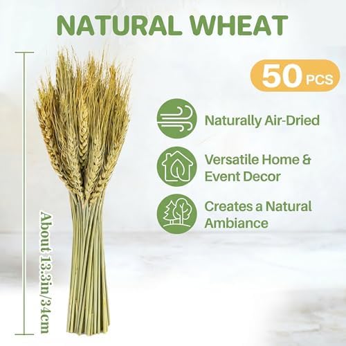 Sukh 50 Stems Dried Wheat Stalks for Vase - Cyan Wheat Straw Decor 13.3 in