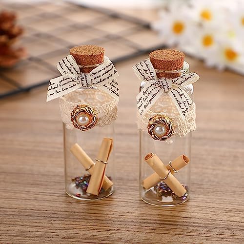 Danmu 40ml Potion Bottles,Glass Bottles with Cork Stopper,12 Pack