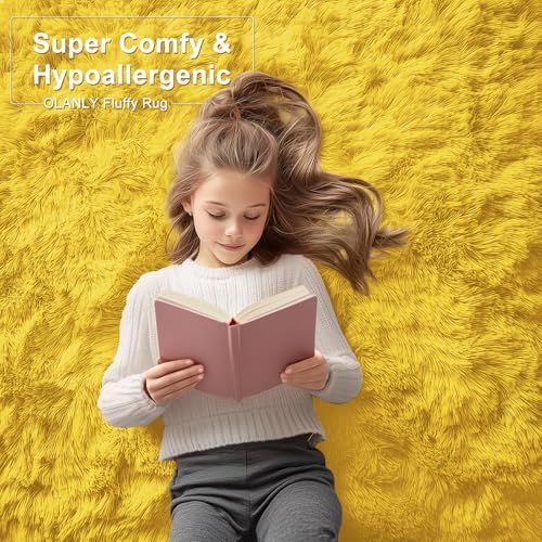 OLANLY 6x9 Machine Washable Large Area Rugs for Living Room, Bedroom, Soft Fluffy Shaggy Bedside Rug, Indoor Floor
