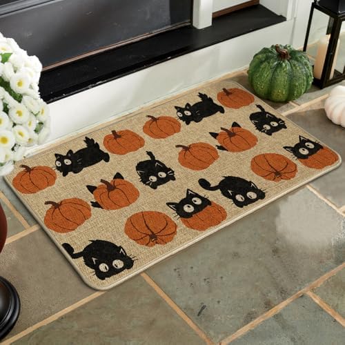 Artoid Mode Cute Pumpkin Balck Cat Fall Doormat 17x29 Inch