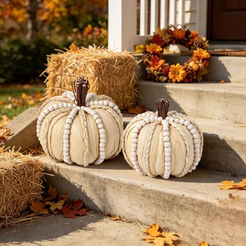 Lulu Home 2 Pcs Handwoven Pumpkins Fall Decor