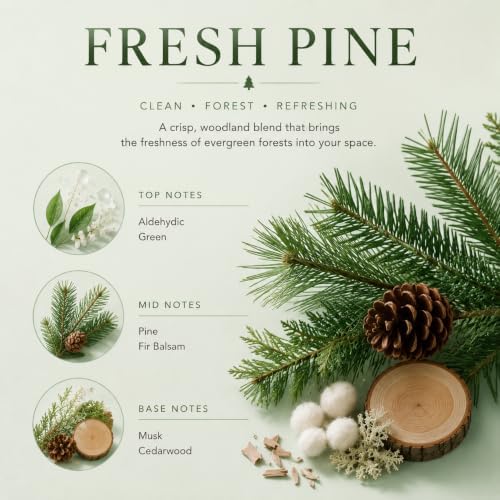 Airkeep Reed Diffuser Set,3.38 fl oz (100 ml) - Fresh Pine Oil Diffusers with 8 Reed Sticks, Home Fragrance Reed