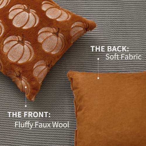 DFXSZ Fall Pillow Covers 20x20 Rust Pumpkin Plush Autumn Home Decor 093B20