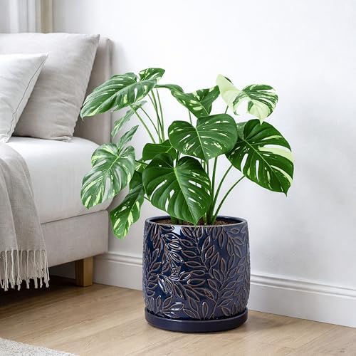 D'vine Dev Embossed Leaves Ceramic Planter, 10 in, Midnight Blue, 27-A-P-3
