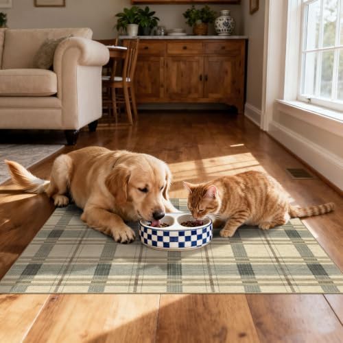 Plaid Outdoor Rug - 28"x43" Front Door Mat Indoor Outside Entrance
