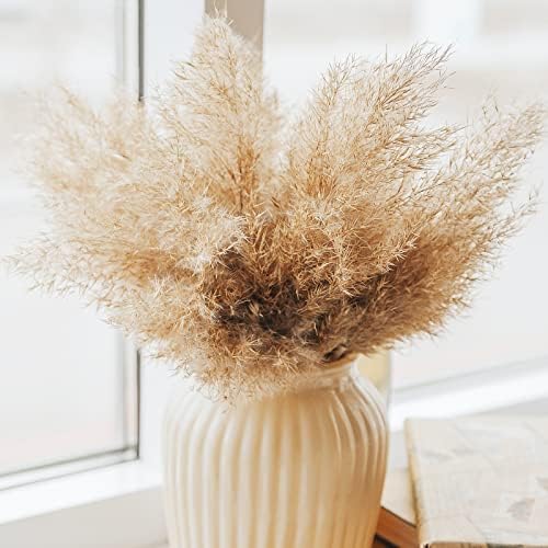 Short Pampass Bulk for Boho Room / Natural / Set of 30