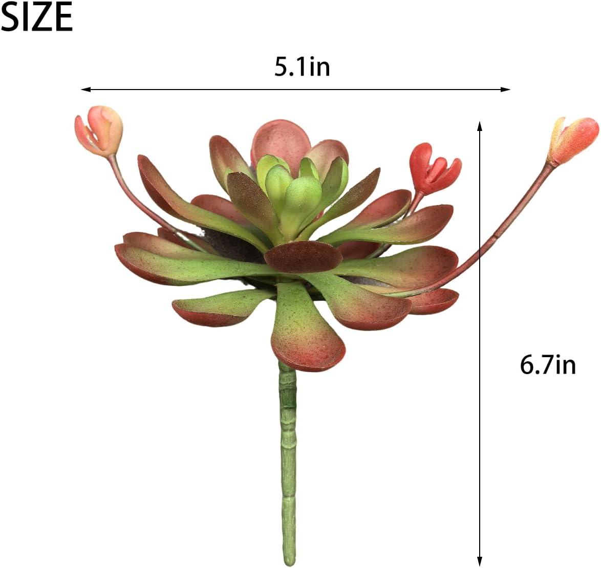 Artificial Succulent Plants / Red-a / Set of 2
