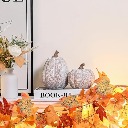 AOMOONOA Artificial Pumpkin Decor, Brown and White Decorative Pumpkins