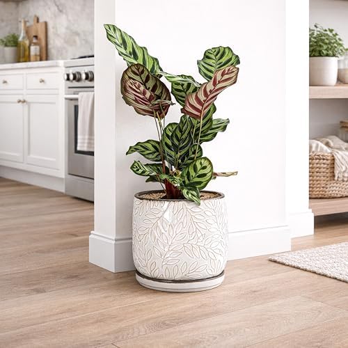 D'vine Dev Embossed Leaves Ceramic Planter, 8 in, Smoked White, 27-A-Q-1