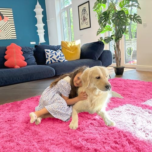 OLANLY 2x3 Machine Washable Small Bedside Rug, Soft Fluffy Shaggy Entryway Throw Rugs for Bedroom, Living Room, Indoor