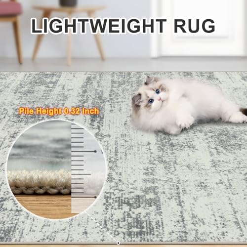 PLHXFR 10x12 Area Rug Living Room: Modern Abstract Washable Carpet Grey