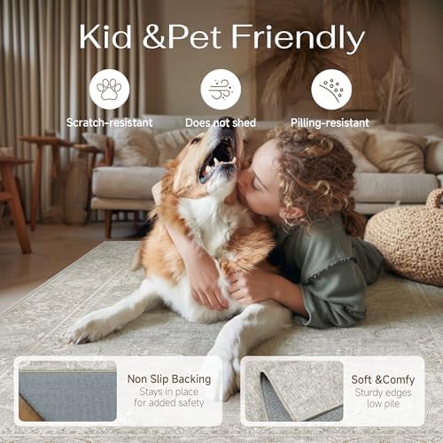 5x7 Grey Neutral Area Rug