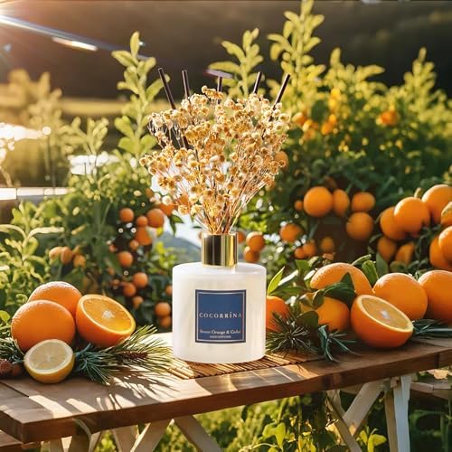 COCORRÍNA Reed Diffuser - Sweet Orange & Cedar 6.7 Fl.oz Reed Diffuser Set with Sticks & Preserved Baby's Breath, Reed