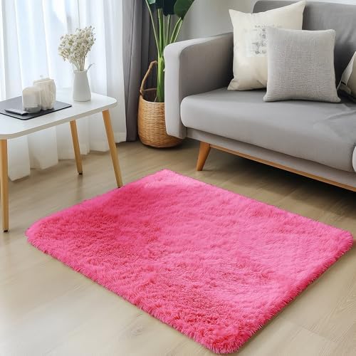 OLANLY 2x3 Machine Washable Small Bedside Rug, Soft Fluffy Shaggy Entryway Throw Rugs for Bedroom, Living Room, Indoor