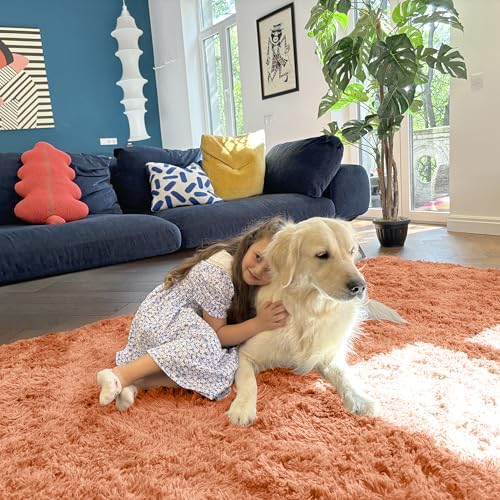 OLANLY 2x5 Machine Washable Runner Rugs for Hallway, Soft Fluffy Shaggy Bedside Rugs for Bedroom, Living Room, Indoor