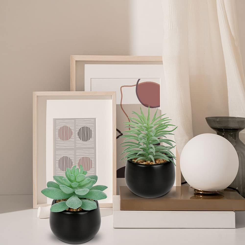 Artificial Succulents Fake Plants Mini Succulents Potted in Ceramic / Type #2 / Black / Set of 3