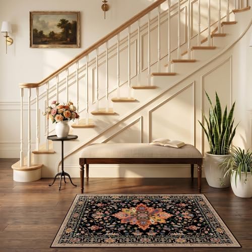 RELEANY Washable Area Rug, Small 2'6"x4', Black/Colorful