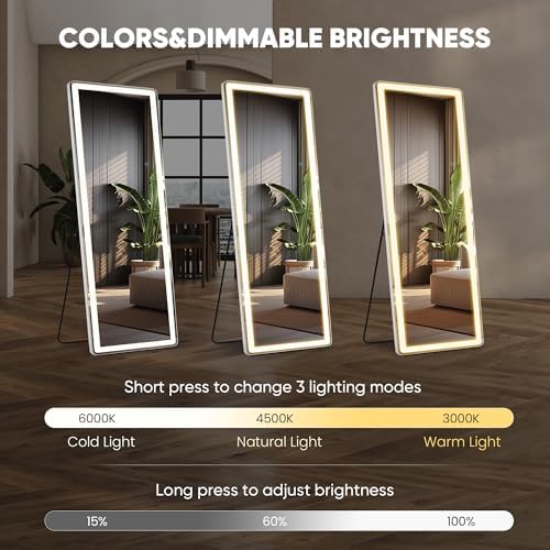 21"x64" LED Full Length Mirror with Stand, Full Body Wall Mirror