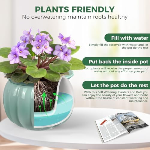 BUYMAX 6 Inch Self Watering Ceramic African Violet Pot Indoor Plant Pot