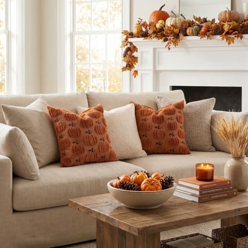 Artscope Fall Pumpkin Throw Pillow Covers 20x20 Set of 2, Autumn Soft Plush Faux Fur Decoration Cushion Covers for Thanksgiving Holiday Couch Sofa Bedroom Home Decor-Rust