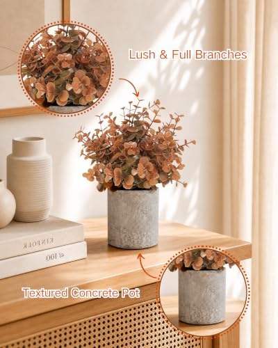 Velener Small Fake Eucalyptus Plant Artificial Potted Plants Indoor for Desk, Shelf, Home Decor Realistic Faux Plant
