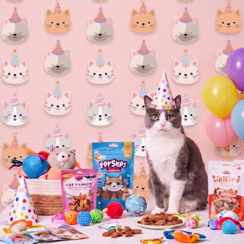 Xinnun 8 Pcs Cat Birthday Party Decorations Pink Kitten Cat Garland Banners