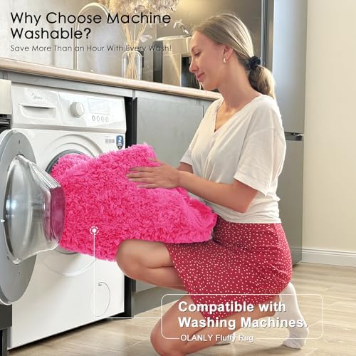 OLANLY 2x3 Machine Washable Small Bedside Rug, Soft Fluffy Shaggy Entryway Throw Rugs for Bedroom, Living Room, Indoor