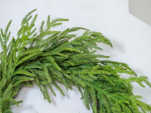 24" Real Touch Norfolk Pine Wreath, Faux Christmas Wreath for Front Door