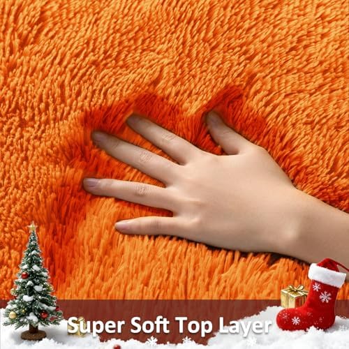 Ophanie Orange Fall Rugs for Bedroom Living Room,Fluffy Fuzzy Furry Carpet,Plush Soft Shaggy Bedside Indoor Floor 4x6