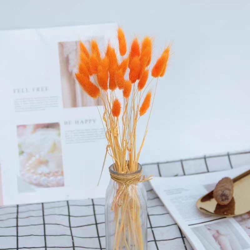 Dried Bunny Tails Flowers Lagurus Ovatus Orange Pampas Grass Natural Dried Floral Arrangement Dry Flowers for Halloween Christmas Boho Decor Home Wedding DIY Craft Decoration