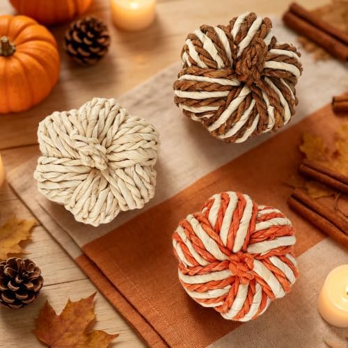 Lulu Home Set of 3 Handwoven Pumpkins Decor