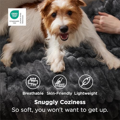 Bedsure Soft Twin XL Blanket for Bed Dorm Grey 66"x90"
