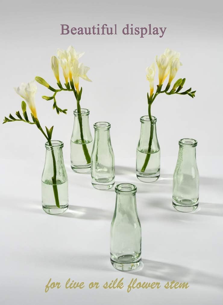 Mini Glass Bud Vase / Green / Set of 6