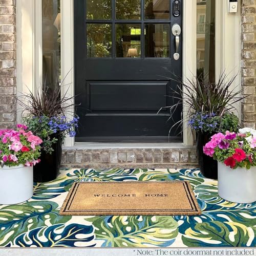 3x5 Monstera Entry Rug Washable Indoor Outdoor Mats for Front Door