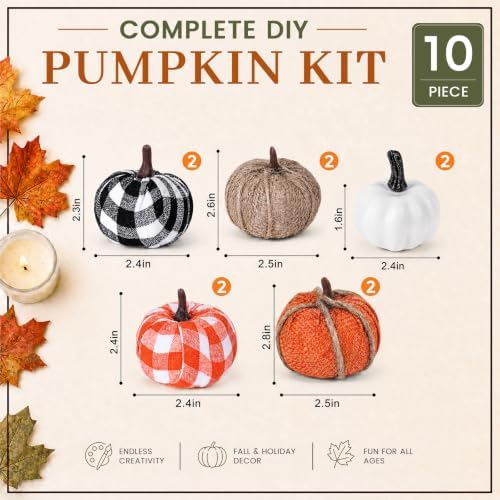 HAKACC 10 PCS Artificial Pumpkins, Fall Fabric Pumpkins Decor