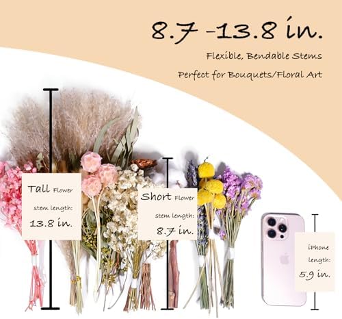 12 Kinds Natural Dried Flower Set, Bulk Dried Flowers for Vase,Mini Dried Flower Bouquets,Dried Flowers with Stems for DIY Crafts, Vase Decor,Home/Wedding/Birthday Decor(8.7-13.8in Flexible Stems)
