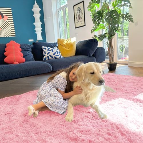 OLANLY 5x7 Machine Washable Large Area Rugs for Living Room, Bedroom, Soft Fluffy Shaggy Bedside Rug, Indoor Floor