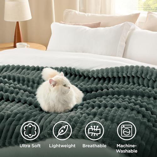 Bedsure Soft Twin XL Blanket for Bed Dorm Mallard Green 66"x90"