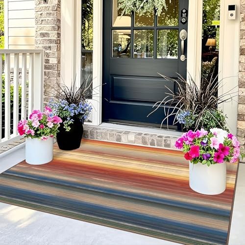 3x5 Ombre Entry Rug - Washable Indoor Outdoor Mats for Front Door