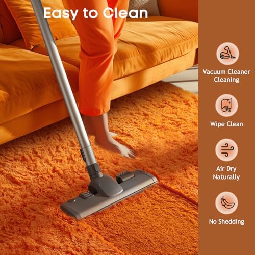 Ophanie Orange Fall Rugs for Bedroom Living Room,Fluffy Fuzzy Furry Carpet,Plush Soft Shaggy Bedside Indoor Floor 4x6