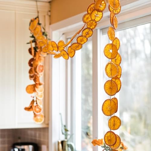 Christmas Decorations - 10 Ft Dried Orange Slice Fall Christmas Garland