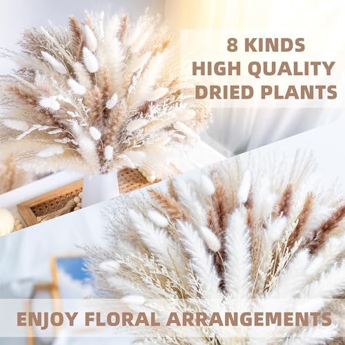 Dried Pampas Grass Boho Home Decor Bouquet Phragmites Dried Flowers Bouquet / Natural / Set of 96