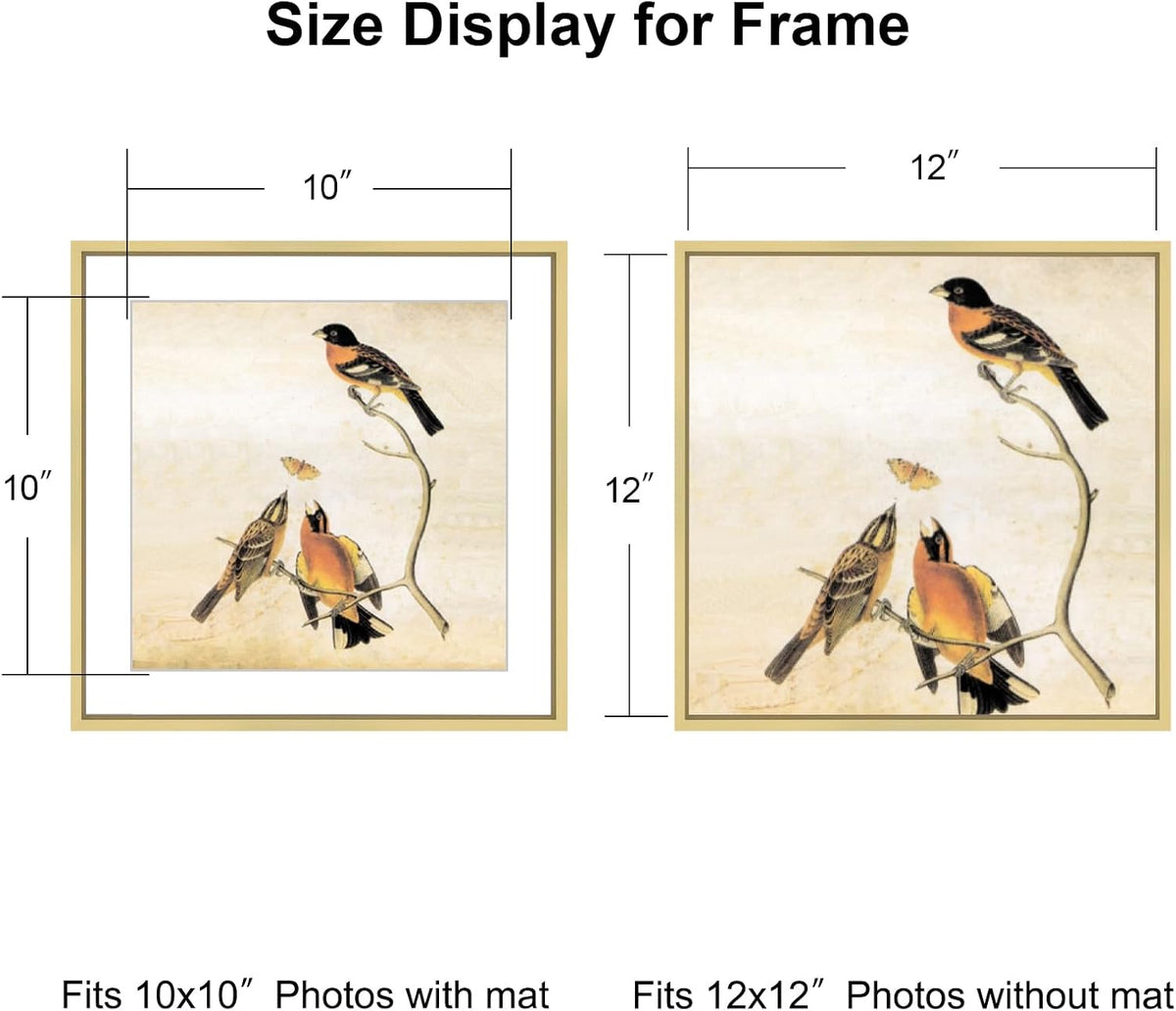 BKABOT 12x12 Blass Picture Frame Fits 10x10 with Mat HD Glass 3 Pack | Thin brushed aluminum Photo frames, removable