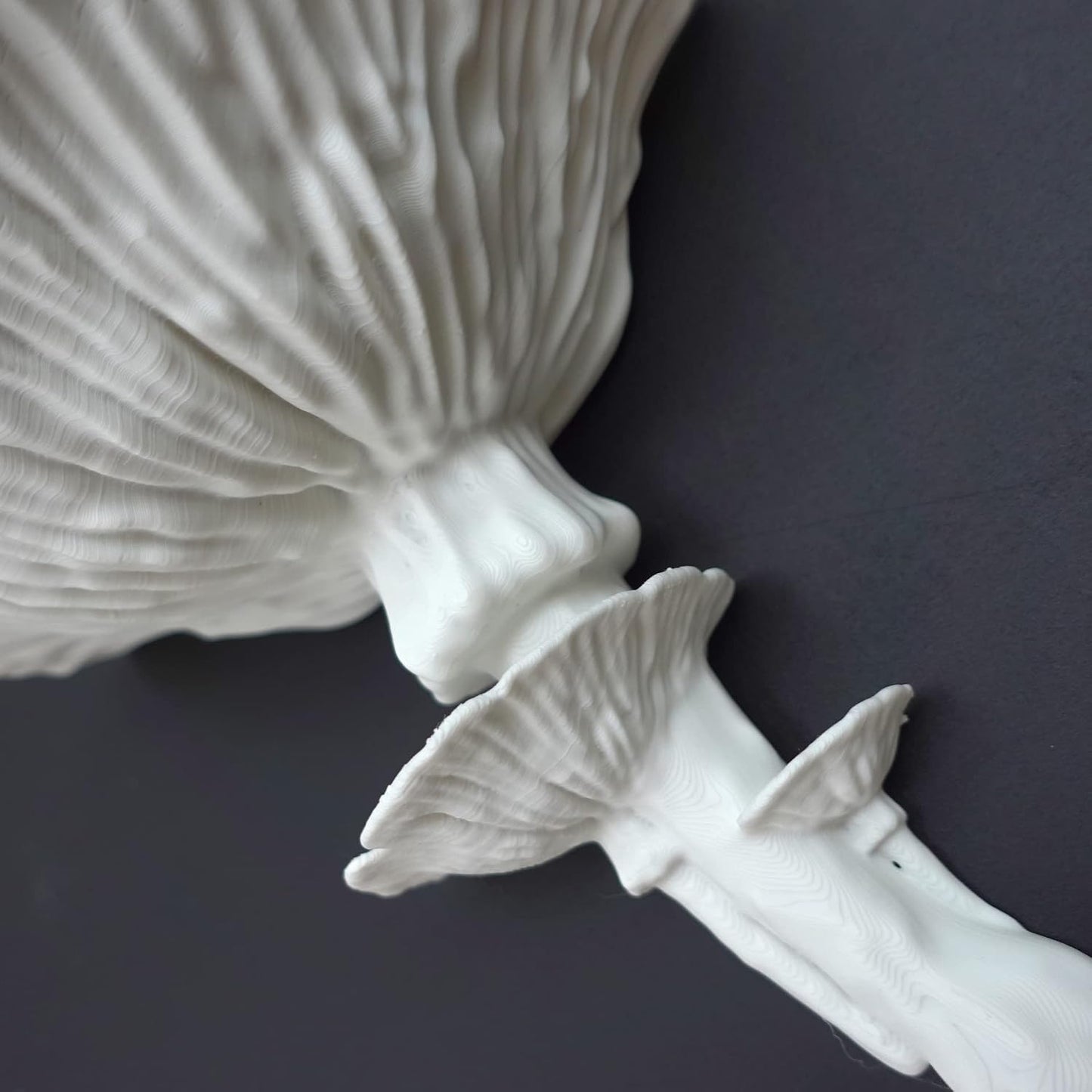 Amanita Mushroom Floating Shelf / White