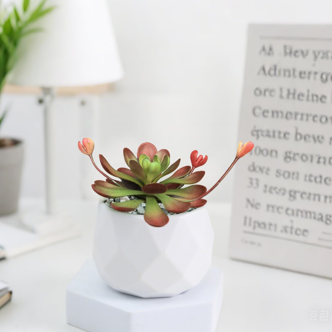 Artificial Succulent Plants / Red-a / Set of 2