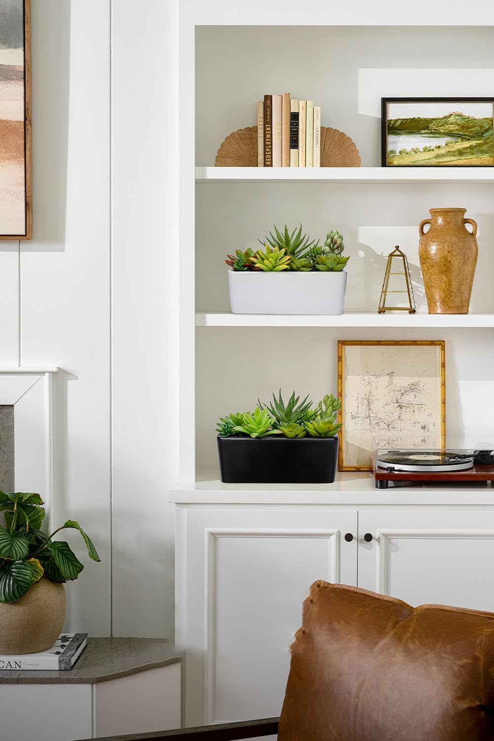 Artificial Succulents Plants in Ceramic Planter Assorted Faux Succulents in Pots / Black