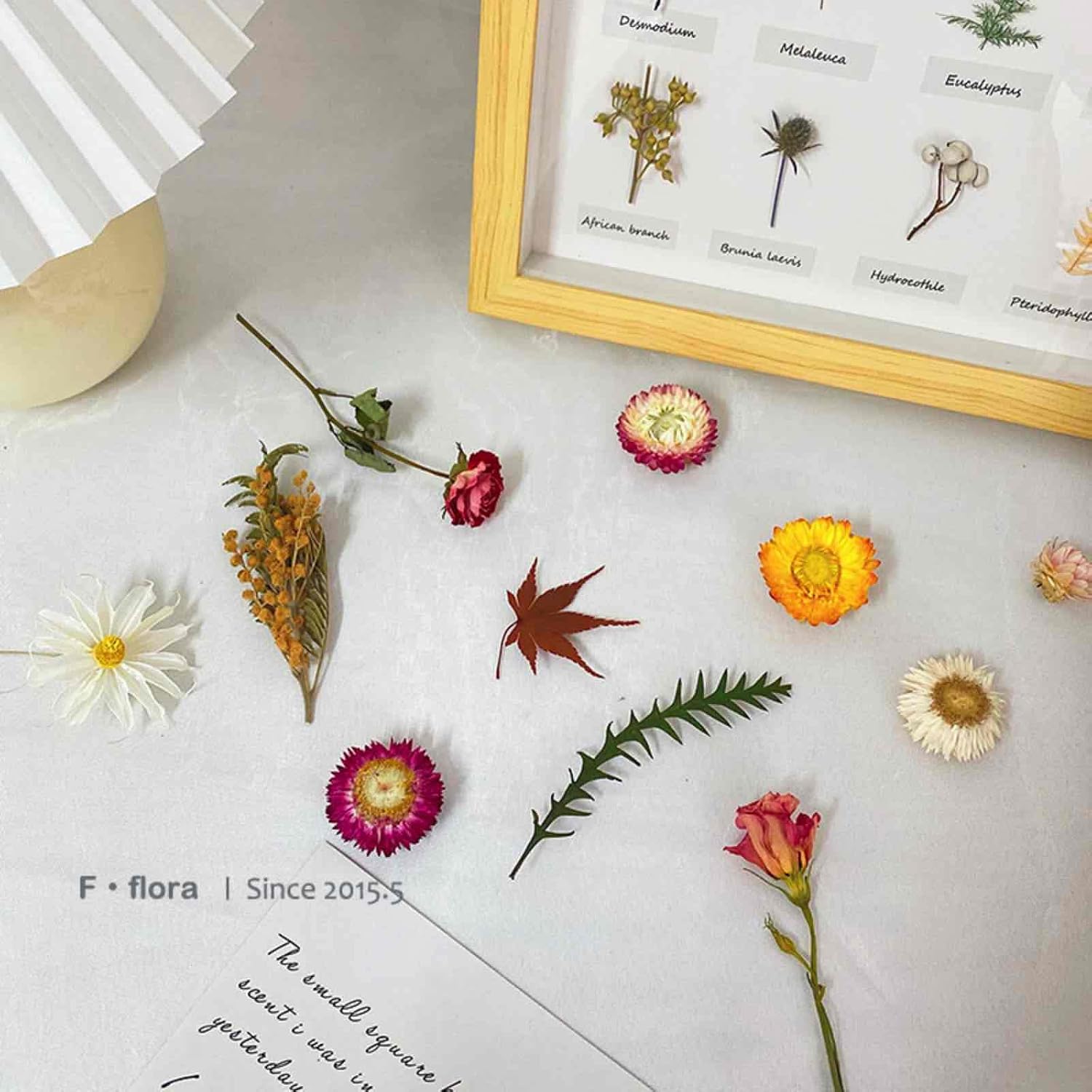 Dry Flower Arrangements / Natural / Set of 40