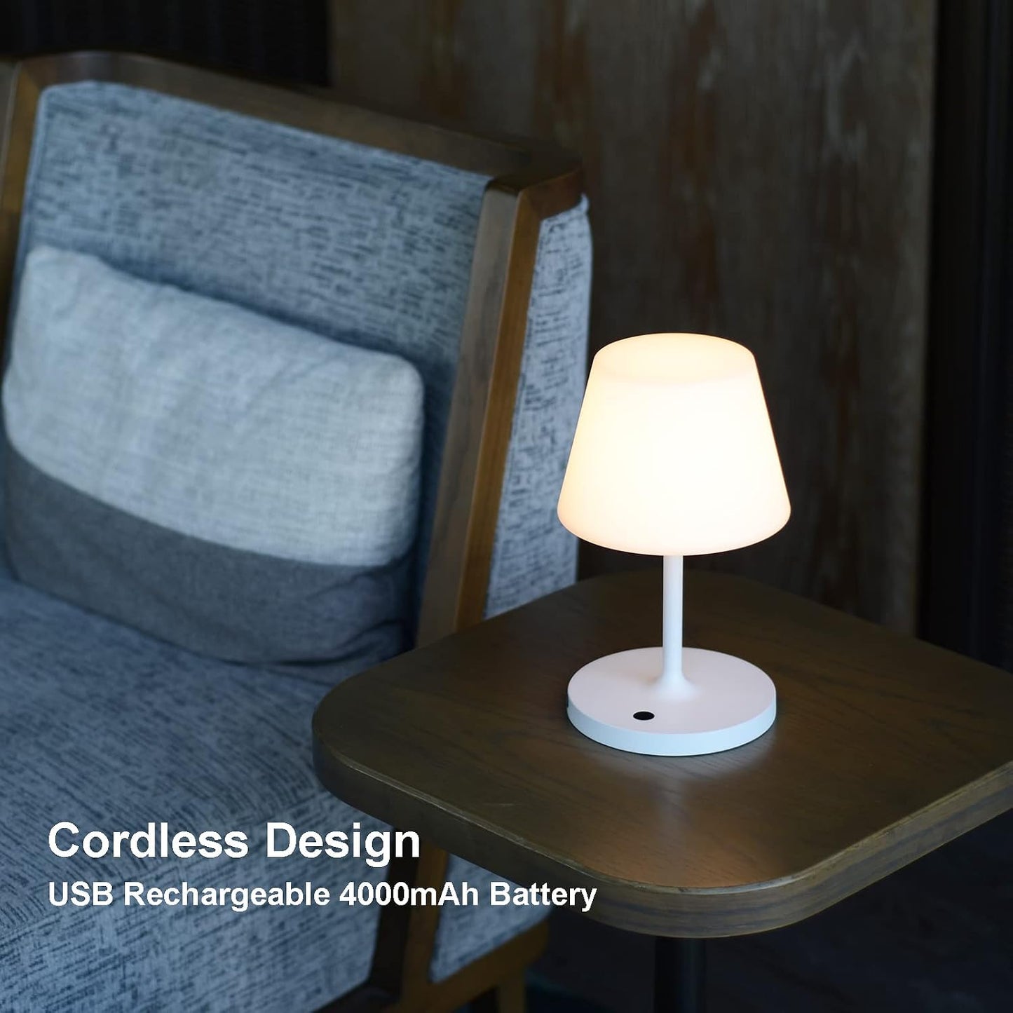 Rechargeable Outdoor Lamp, IP44 Waterproof Touch Dimmable LED Light | 4000mAh battery, 2700K warm light with PE shade